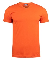Basic-T V Neck
